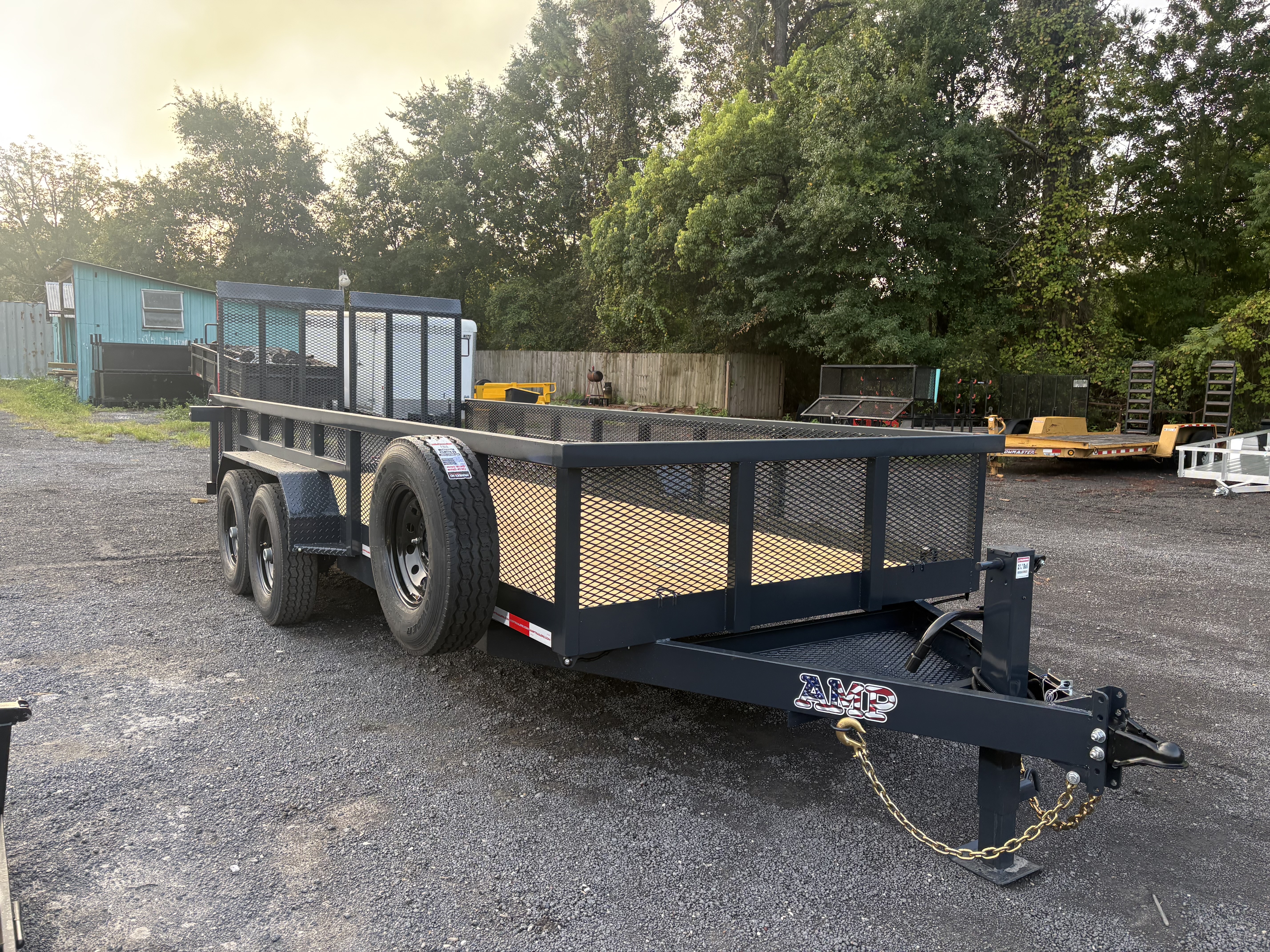 2025 AMP